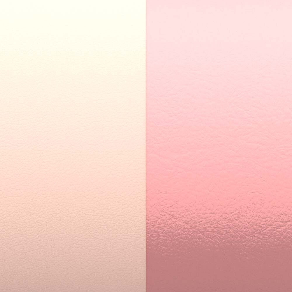 Photo [yvidya_reference:CMA0-CFW-R25]