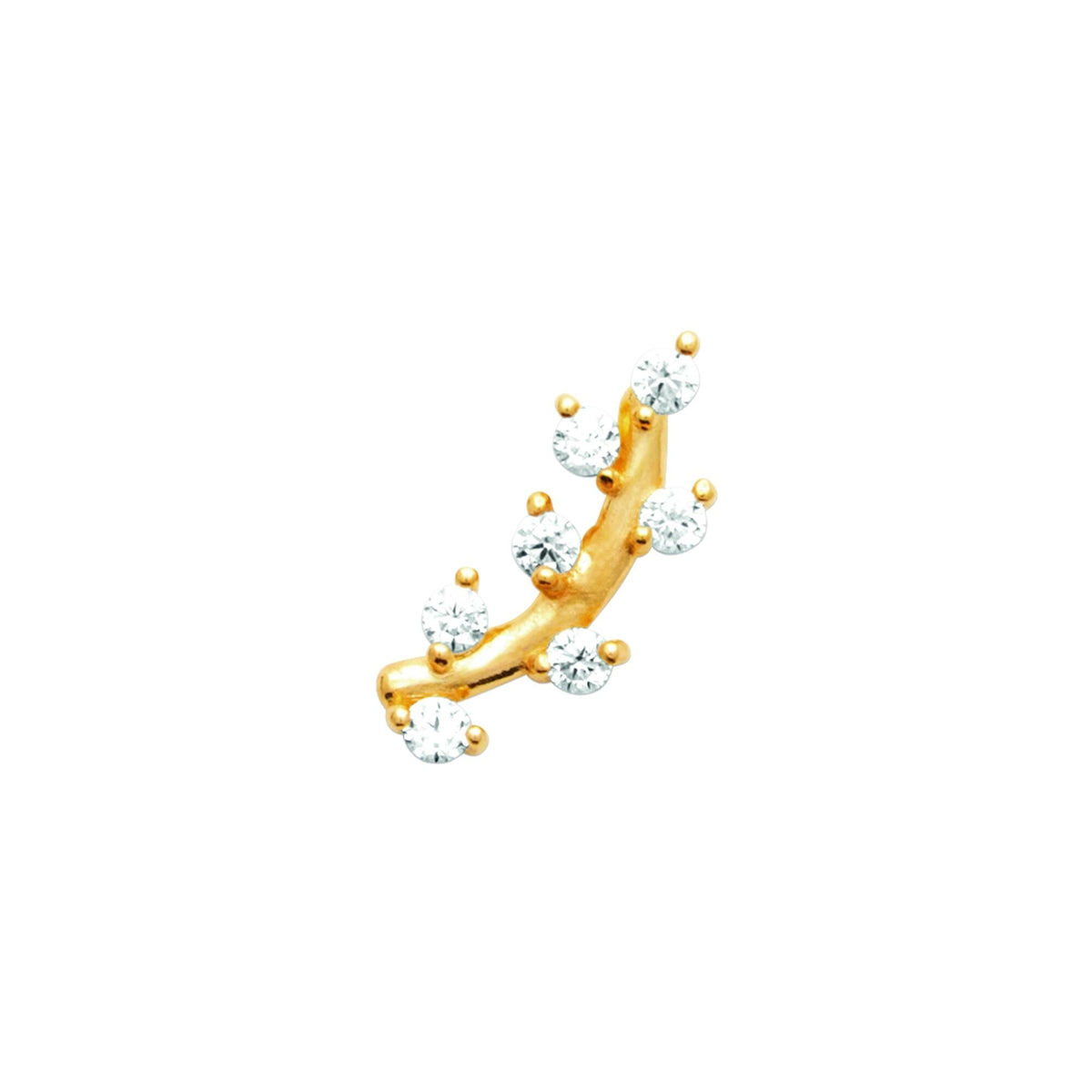 Photo [yvidya_reference:23074810]