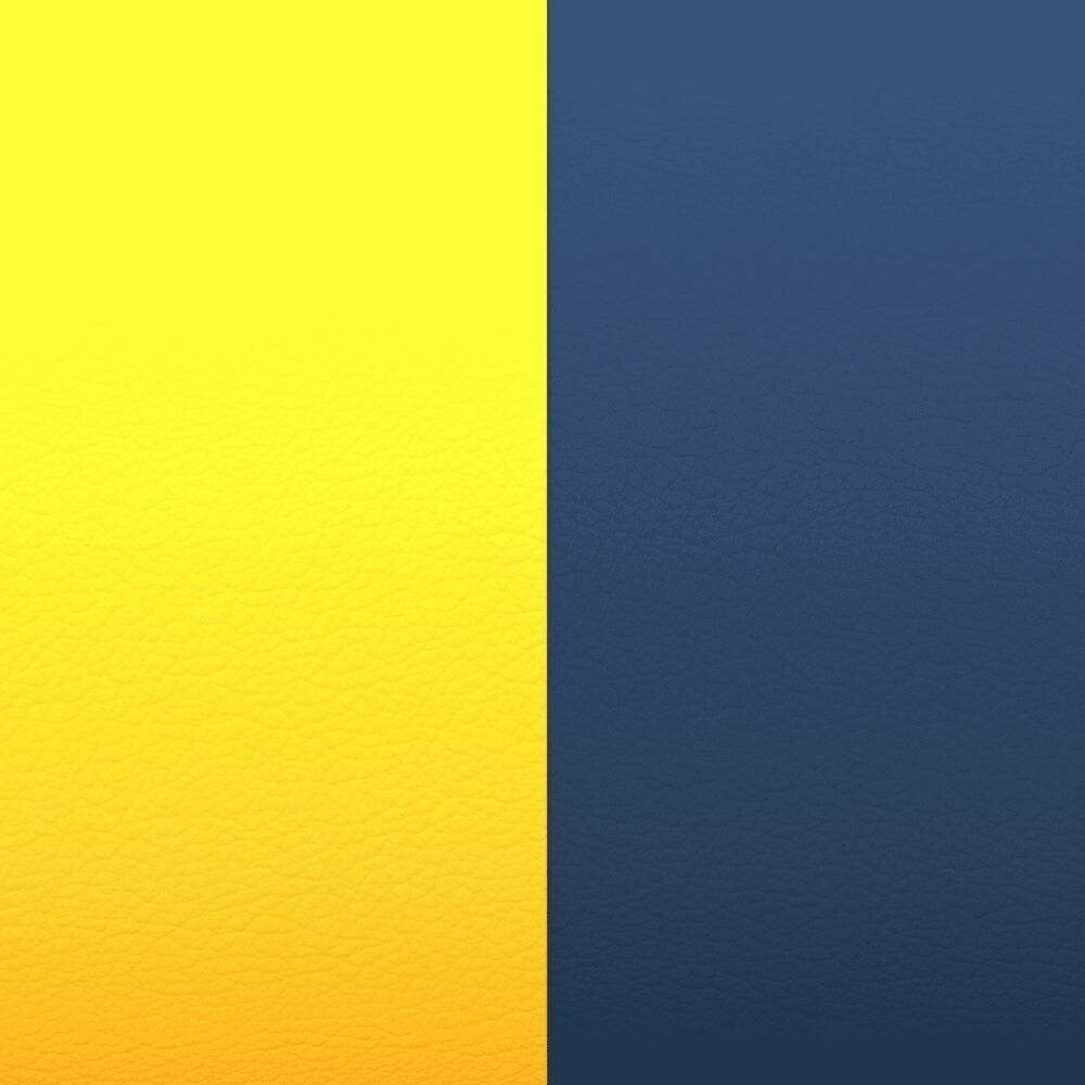 Photo [yvidya_reference:CCL0-CA4-D25]